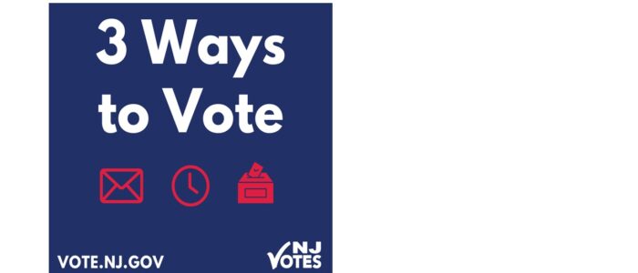 3 Ways to Vote